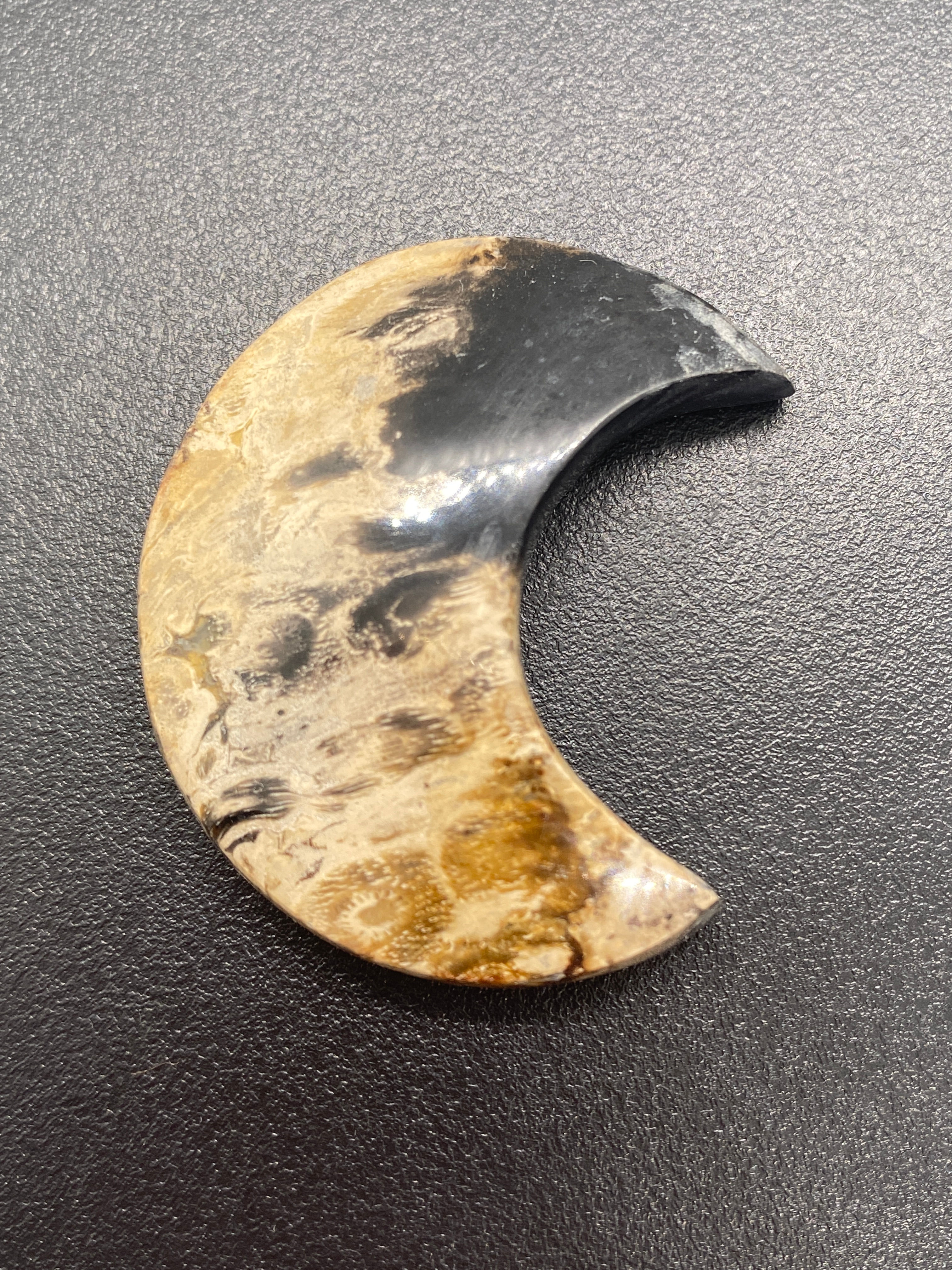 Palm Root | Moon | 45 mm