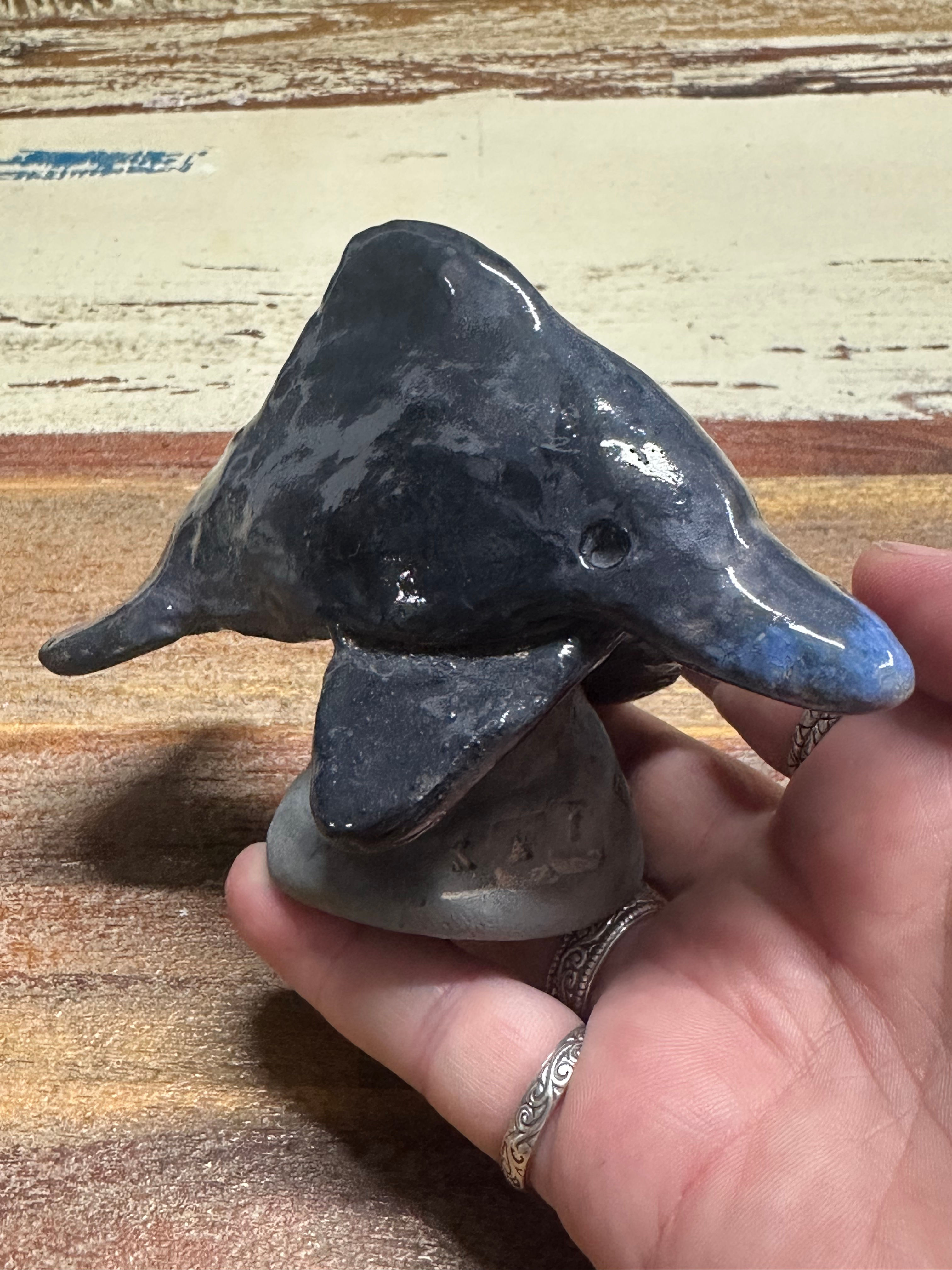 Dolphin by Kai - Totally blind potter 