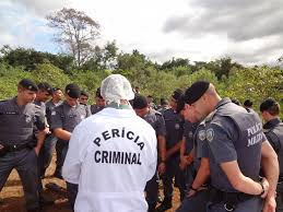 Perito Criminal