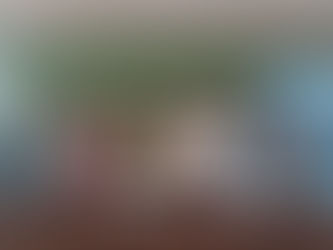 CAF de la Guadeloupe et de Saint Martin - 2 jours de formation pour les RPE