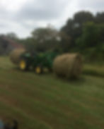 Hay