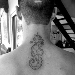 Tatouage flash hippocampe nuque dos