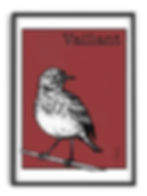 poster oiseau dessin pipit farlouse vallée d'Aspe