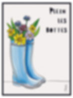 Poster dessin aquarelle crayon Plein les bottes fleurs vallée d'Aspe Pyrénées