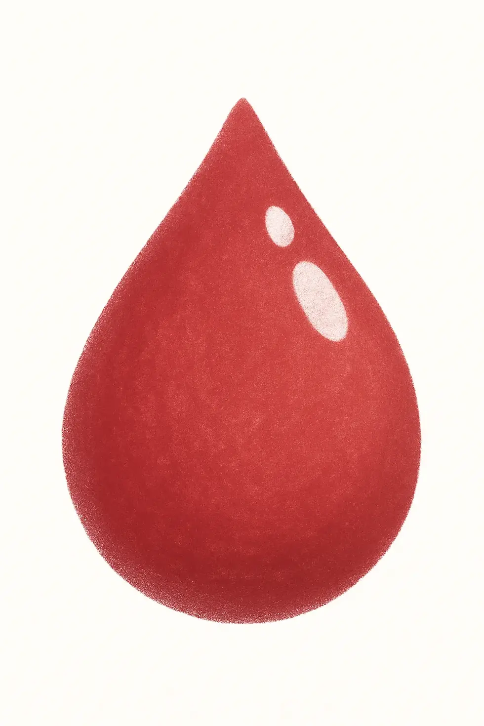 ChatGPT Image 11 Haz 2025 14_20_47.webp