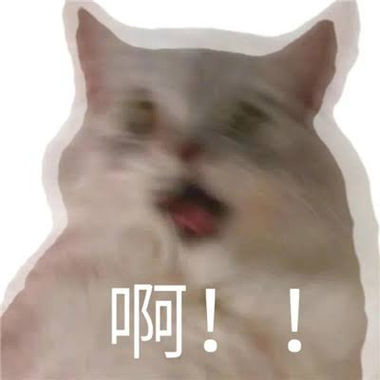 EB-2降级EB-3,到底值不值?