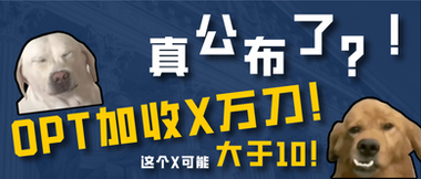 真公布了?!OPT加收X万刀!这个X可能大于10!
