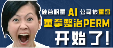 硅谷明星AI公司被重罚，重拳整治PERM开始了！
