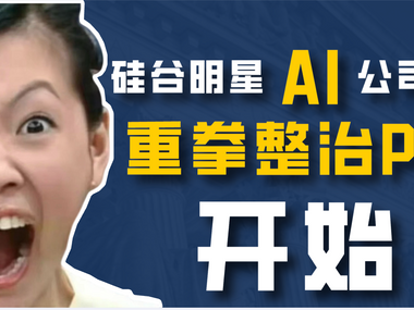 硅谷明星AI公司被重罚，重拳整治PERM开始了！