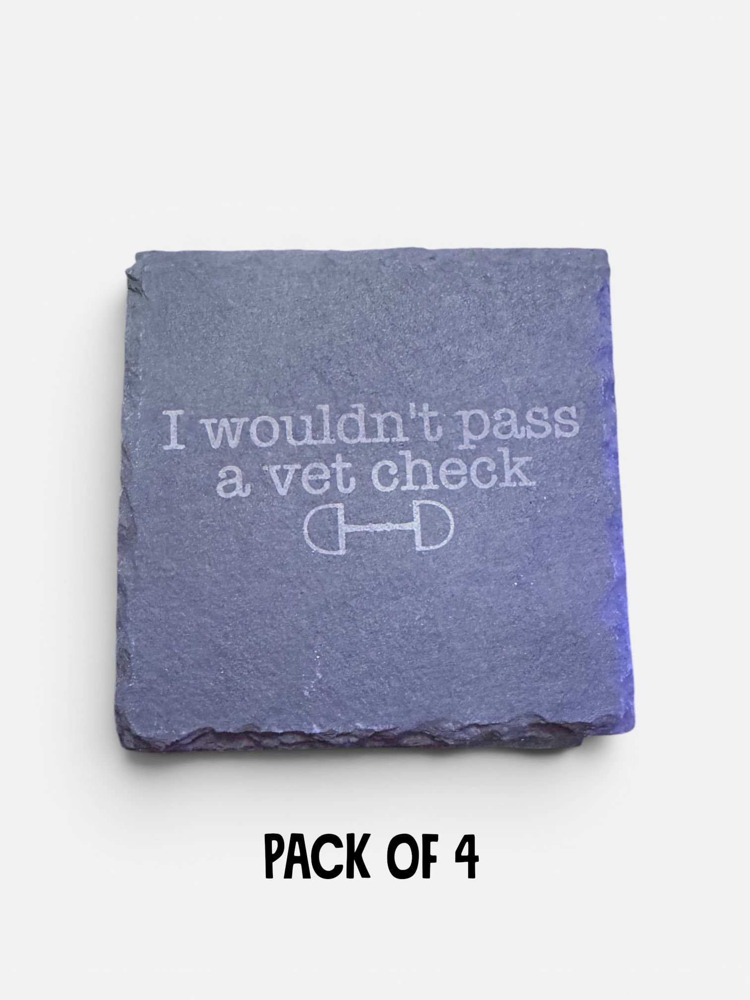 I Wouldn't Pass a Vet Check Coaster Set