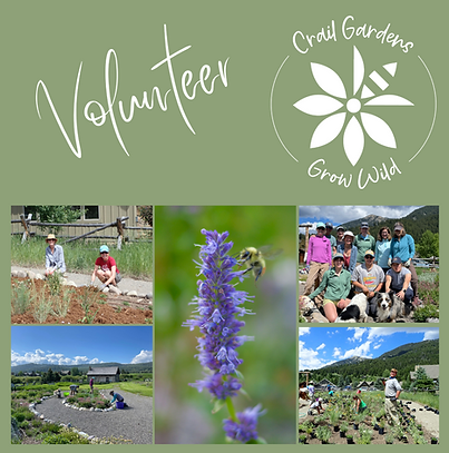 2024 Volunteer at Crail Gardens.png