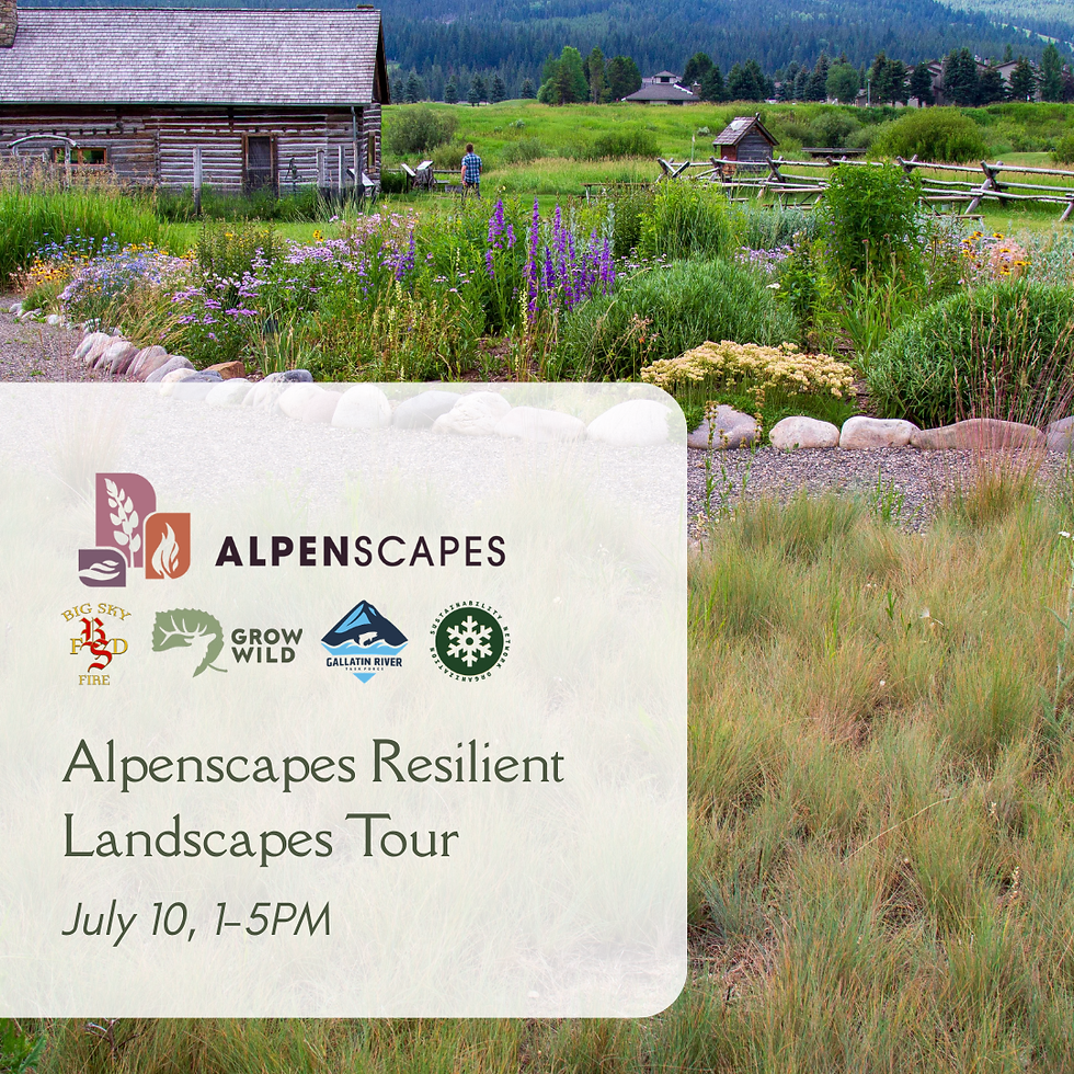 Alpenscapes Resilient Landscapes Tour