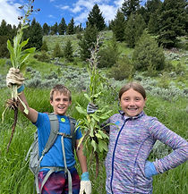 IMG_1480 (1)_edited_edited.jpg