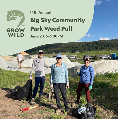 2026 Big Sky Weed Pull Event.png