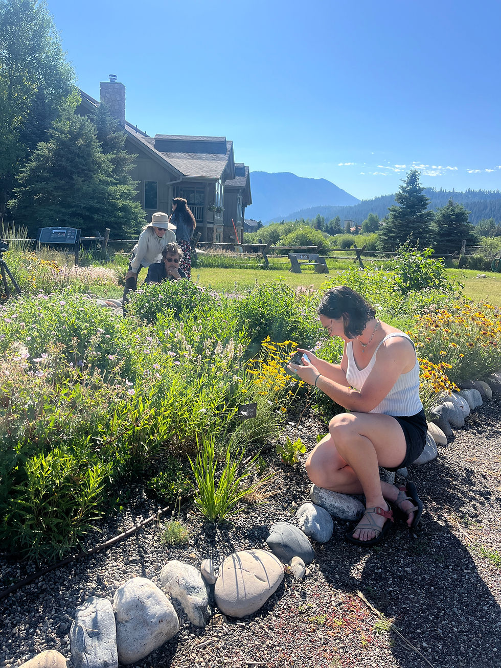 Photography in Action: A Guided Hike