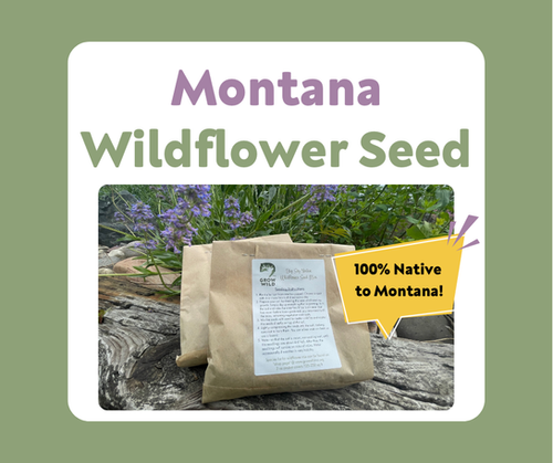 Montana Wildflower Seed Mix | Grow Wild