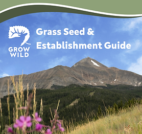 Grow Wild’s Grass Seed & Establishment Guide..png