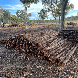 Cedar Posts