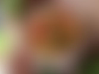 Frisella con insalata di ceci