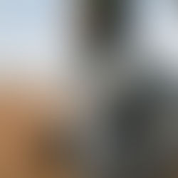 Come mangia uno sportivo?alimentazione e sport - parte 1