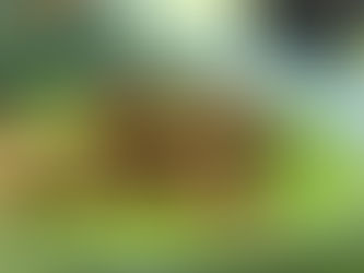 Vellutata di piselli