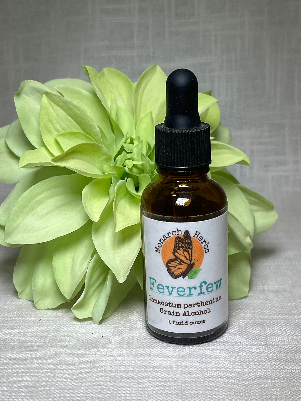 Feverfew Extract (Tanacetum parthenium)
