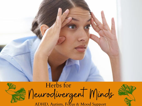 Embracing Neurodivergence: Herbal, Dietary & Lifestyle Support for ADHD, Autism & More