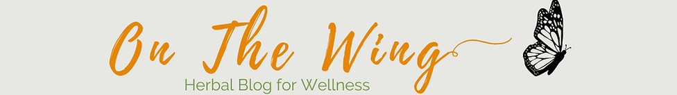 On the Wing Blog Header.png