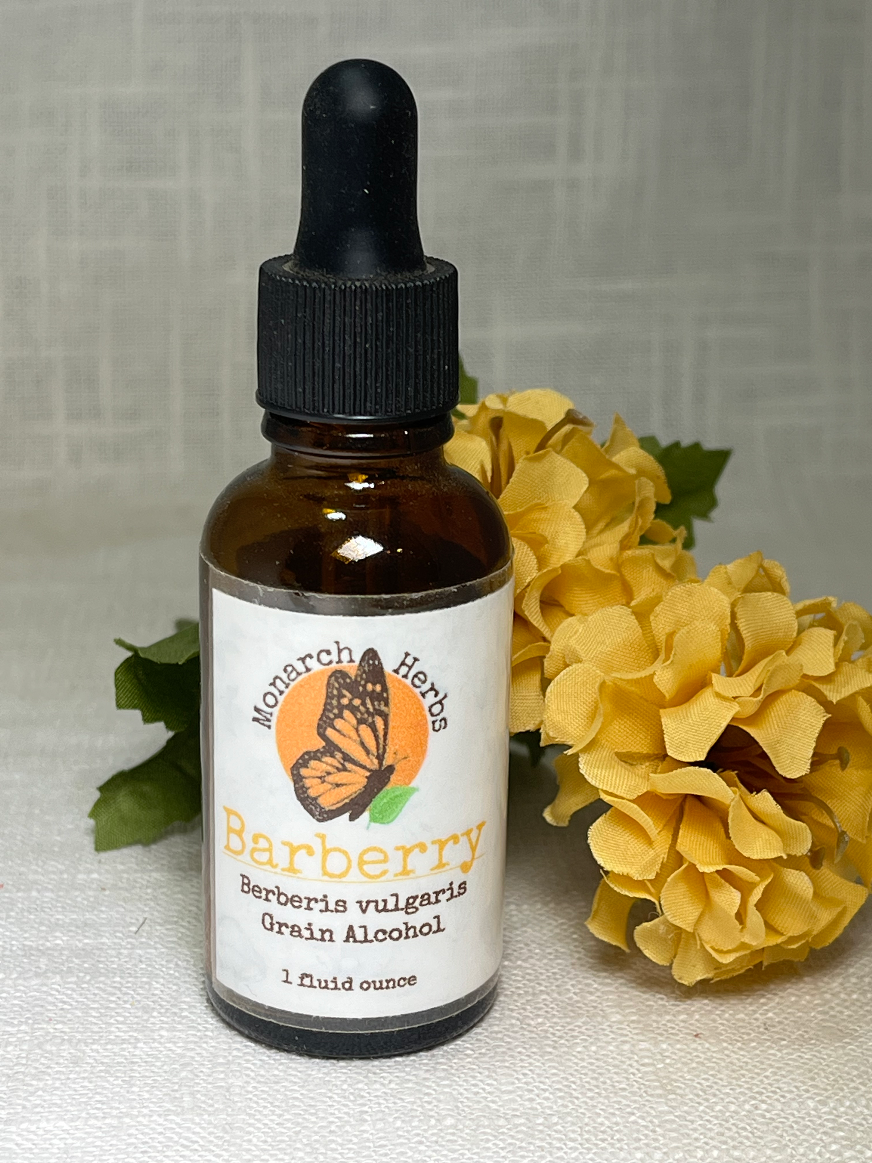 Barberry Extract (Berberis vulgaris)