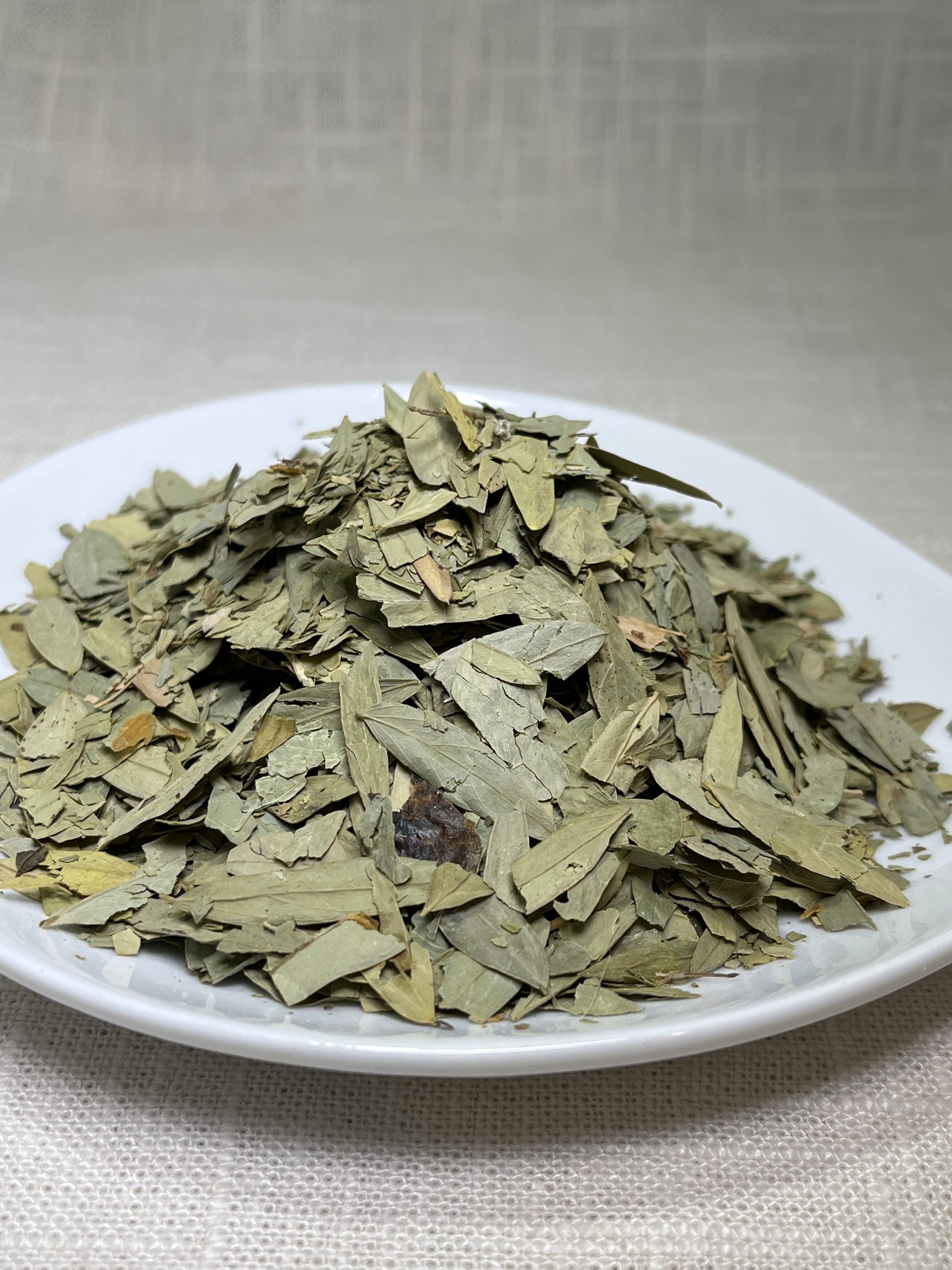 Senna (Senna alexandrina)
