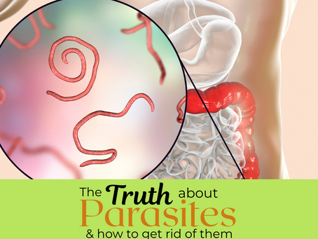 Understanding Parasites: Types, Symptoms & Herbal Allies to Fight Back