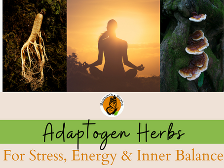 Adaptogen Herbs: Nature’s Solution for Stress, Energy & Inner Balance