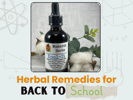 Back to School Naturally: Herbal Remedies to Support Kids’ Health, Focus & Calm