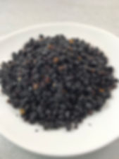 Elderberry - Sambucus nigra