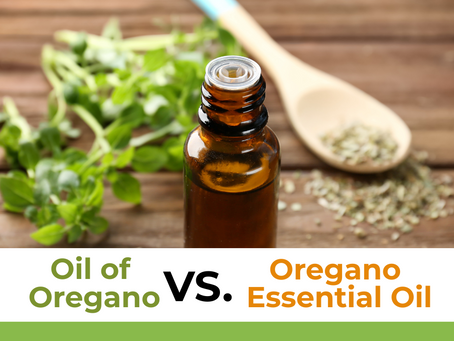 Oregano Oils: What’s the Difference and How to Use Them Safely