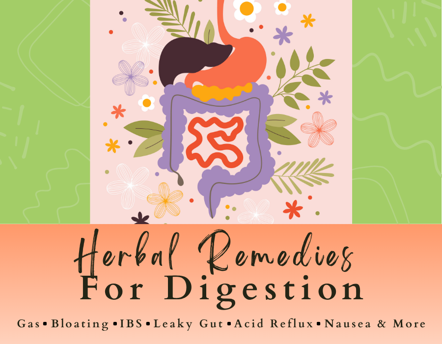 herbs to support healthy digestion