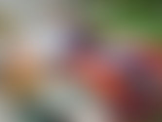 Armenian genocide officially recognized by United States