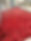 IMG_2111.jpeg