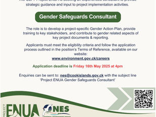 National Environment Service Vacancy - Gender Safeguards Consultant