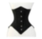 Thumbnail: Brocade Underbust Corset