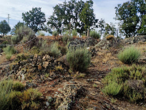 Open Seasonal Archaeology Job at BLM-SLFO