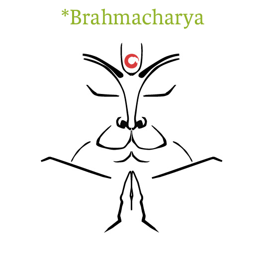 Brahmacharya:Mutlak gerçekliğin farkındalığı
