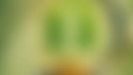 Calendar showing SEO progress for a Houston business