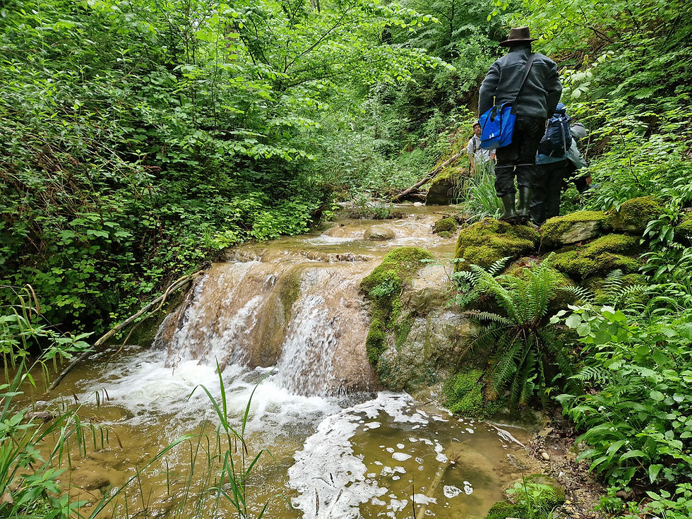 Natur & Erlebnis Retreat 