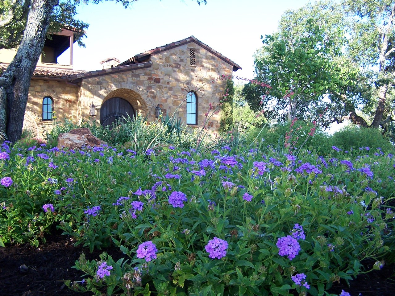 TEXAS MAY 2009 177.jpg