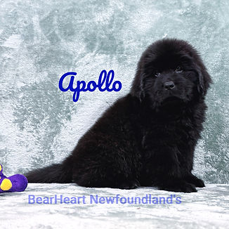 Apollo 11_15_25_9145_edited.jpg