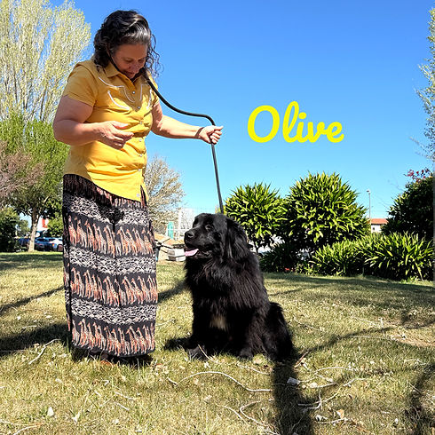 Olive_0614_edited.jpg
