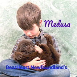Medusa 3_4_26 _1156_edited