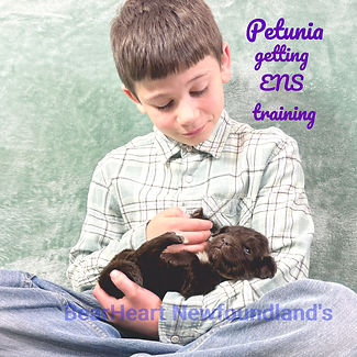 Petunia 12_24_25_9279_edited.jpg