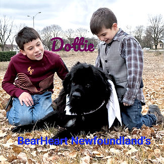 Dottie_8909_edited.jpg
